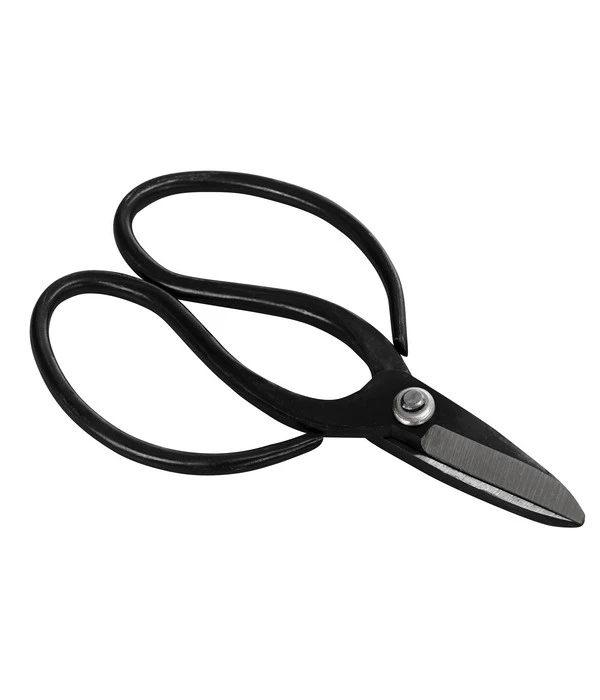 Bonsai Chinesischer Feigenbaum - Ficus Retusa, Anfänger-Set, 10 Jahre 6 Bonsai Chinesischer Feigenbaum - Ficus Retusa, Anfänger-Set, 10 Jahre – Bild 4