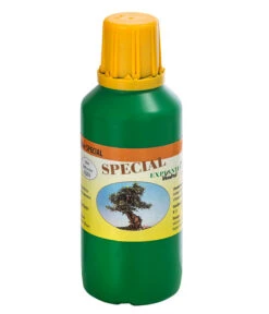 Bonsai Chinesischer Feigenbaum - Ficus Retusa, Anfänger-Set, 10 Jahre 8 Bonsai Chinesischer Feigenbaum - Ficus Retusa, Anfänger-Set, 10 Jahre -Pflanzenglück Geschäft 8561573 WE FS 003 DuengerSetBonsai