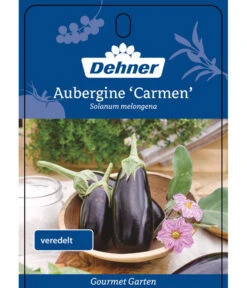 Dehner Gourmet Garten Aubergine, Veredelt 10 Dehner Gourmet Garten Aubergine, Veredelt -Pflanzenglück Geschäft 8830051 GGAubergineCarmen Etikett 1