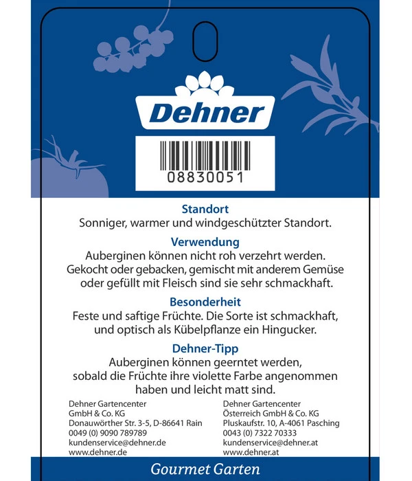 Dehner Gourmet Garten Aubergine, Veredelt 7 Dehner Gourmet Garten Aubergine, Veredelt – Bild 5