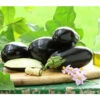 Dehner Gourmet Garten Aubergine, Veredelt 2 Dehner Gourmet Garten Aubergine, Veredelt -Pflanzenglück Geschäft 8830051 PR MO 001 GG AUBERGINE CARMEN