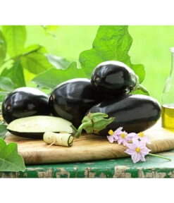 Bestseller 9 Dehner Gourmet Garten Aubergine, Veredelt