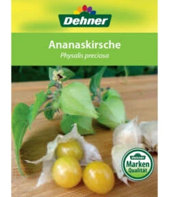 Dehner Ananaskirsche Physalis 14 Dehner Ananaskirsche Physalis -Pflanzenglück Geschäft 8830069 Ananaskirsche Etikett 1