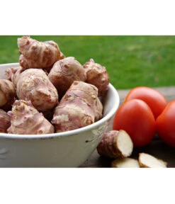 Topinambur 10 Topinambur -Pflanzenglück Geschäft 8830184 PR MO 001 TopinamburPixabay