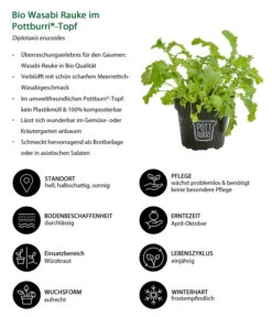Bio Wasabi Rauke Im Pottburri®-Topf 8 Bio Wasabi Rauke Im Pottburri®-Topf -Pflanzenglück Geschäft 8830291 WE IG 001 BioWasabiRaukeimPottburriTopf