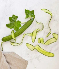 Bioland Gurke, Veredelt 11 Bioland Gurke, Veredelt -Pflanzenglück Geschäft 8830853 WE MO 001 SchlangengurkeveredeltRenner