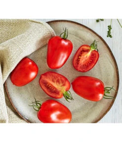 Bestseller 23 Bioland Eiertomate