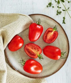 Bioland Eiertomate 7 Bioland Eiertomate -Pflanzenglück Geschäft 8831463 WE MO 001 BiolandEiertomate