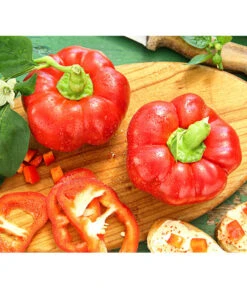 Bestseller 16 Dehner Gourmet Garten Tomatenpaprika