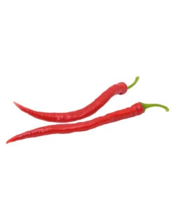 Milde Peperoni -Pflanzenglück Geschäft 8831695 WE FS 002 mildepeperoni