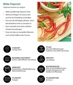 Milde Peperoni -Pflanzenglück Geschäft 8831695 WE IG 001 MildePeperoni
