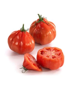 Ochsenherztomate 'Fleurette' -Pflanzenglück Geschäft 8832883 WE DE 001 Ochsenherztomate