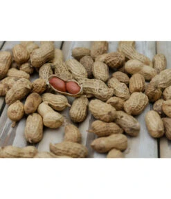 Bestseller 7 Bioland Erdnuss