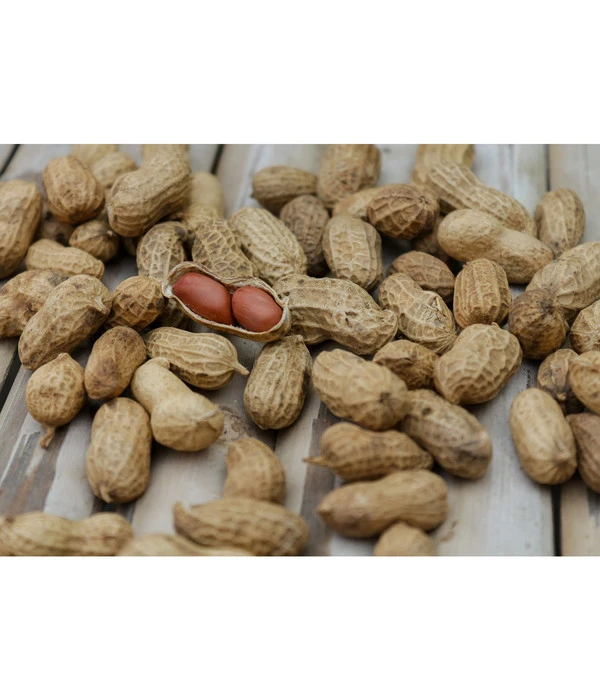 Bioland Erdnuss 3 Bioland Erdnuss