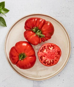 Bioland Fleischtomate 9 Bioland Fleischtomate -Pflanzenglück Geschäft 8842627 WE MO 001 BiolandFleischtomate