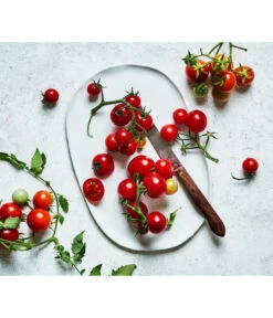 Bioland Cherrytomate 10 Bioland Cherrytomate -Pflanzenglück Geschäft 8842635 WE MO 002 Bio Cherrytomate