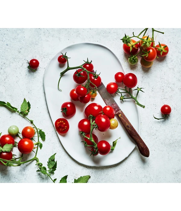 Bioland Cherrytomate 5 Bioland Cherrytomate – Bild 4