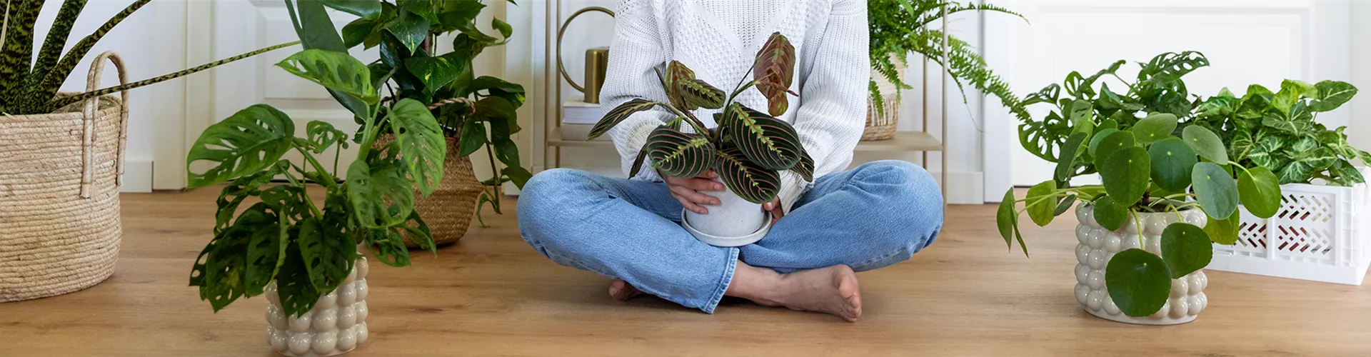 Pflanzenglück Geschäft 2 Pflanzenglück Geschäft -Pflanzenglück Geschäft Zimmerpflanzen als perfekte Mitbewohner r1 1920x500 proportionalsmallest