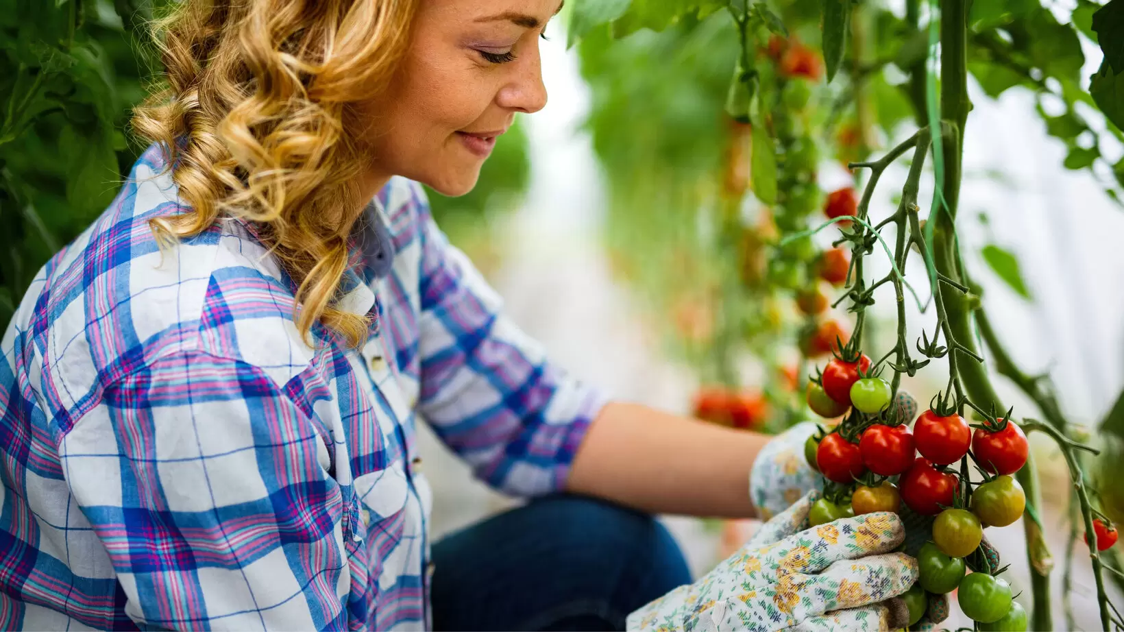 Pflanzenglück Geschäft 3 Pflanzenglück Geschäft -Pflanzenglück Geschäft csm Blumen Risse Pflanzenwelt Obst Gemuese 02 08c986fc39